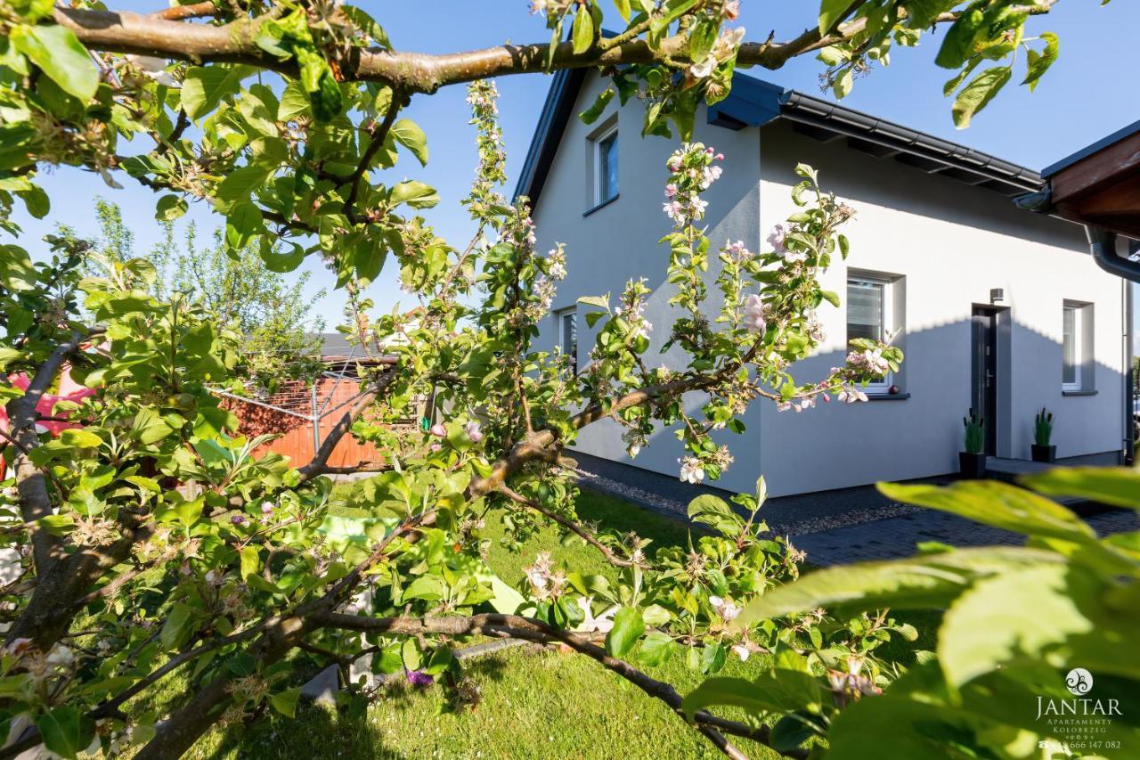 Jantar Apartamenty - Casa Francesco Grzybowo (West Pomeranian) Exterior foto
